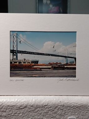 Oakland Bay Bridge And Flying  Seagulls Art Photo By Jack E. Stiddard 5x7/8×10